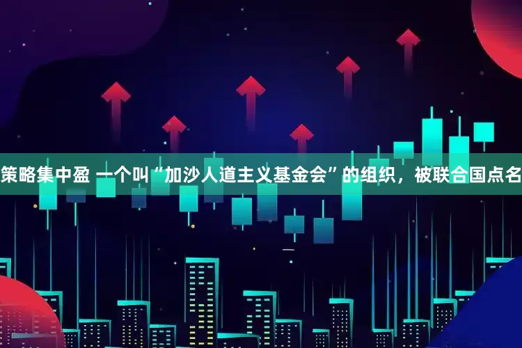 策略集中盈 一个叫“加沙人道主义基金会”的组织，被联合国点名